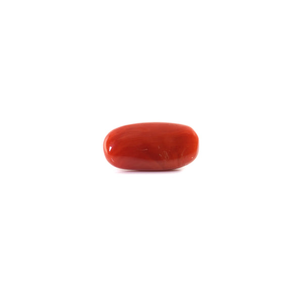 Red Coral - 6.5 Carat