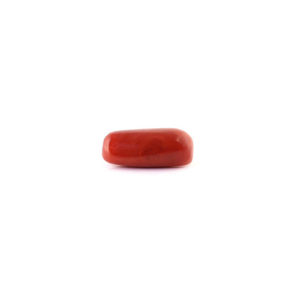 Red Coral - 6.5 Carat