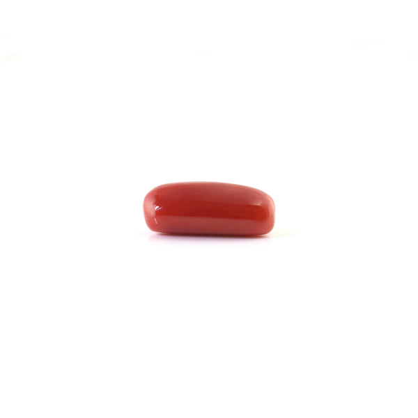 Red Coral - 6 Carat