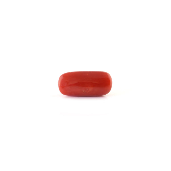 Red Coral - 6.55 Carat - Pramogh