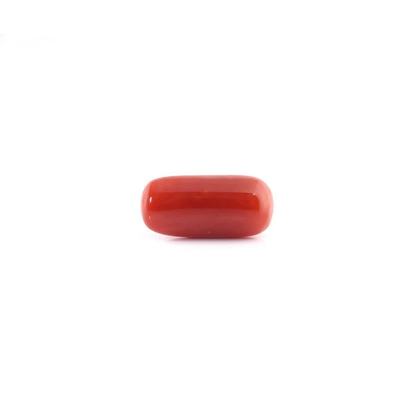 Red Coral - 6.55 Carat