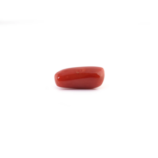 Red Coral - 6.55 Carat