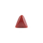 Red Coral - 5.4 Carat - Pramogh