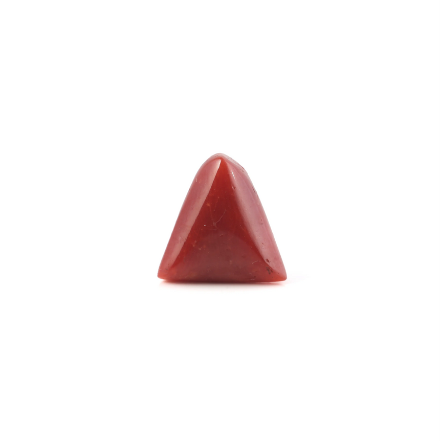 Red Coral - 5.4 Carat - Pramogh