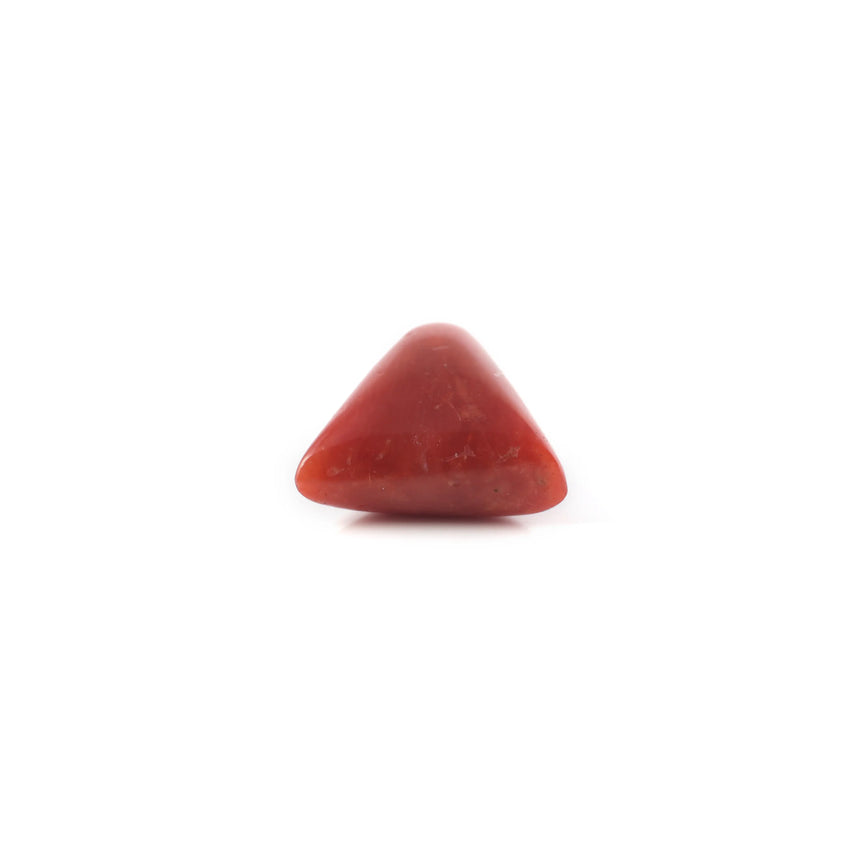 Red Coral - 5.4 Carat - Pramogh