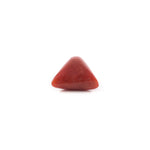 Red Coral - 5.4 Carat - Pramogh