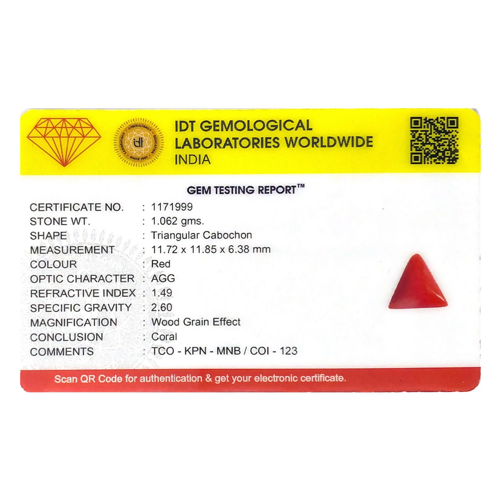Red Coral - 5.31 Carat - Pramogh