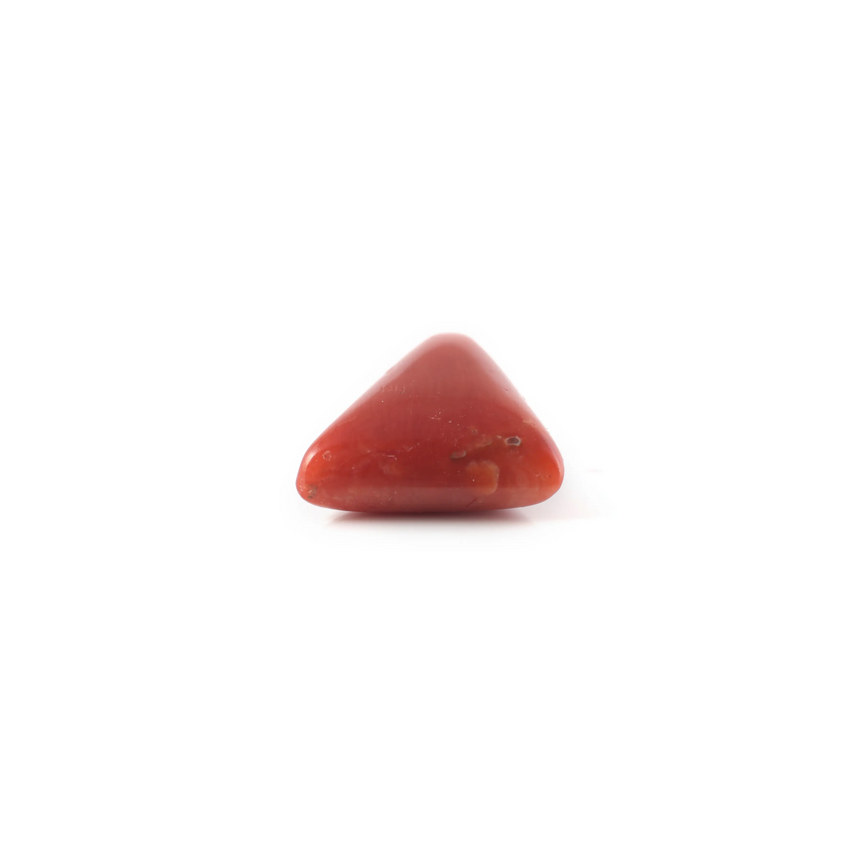 Red Coral - 4.84 Carat - Pramogh