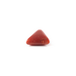 Red Coral - 4.84 Carat - Pramogh
