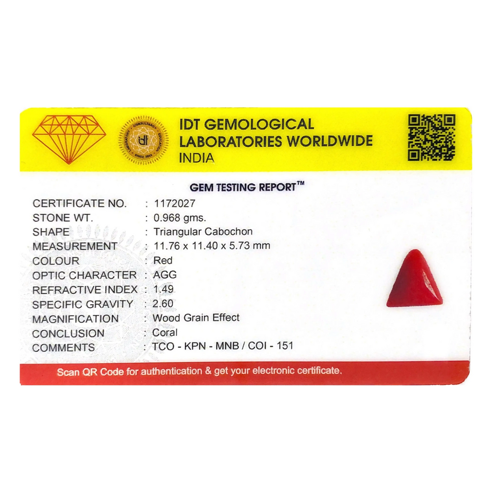 Red Coral - 4.84 Carat - Pramogh