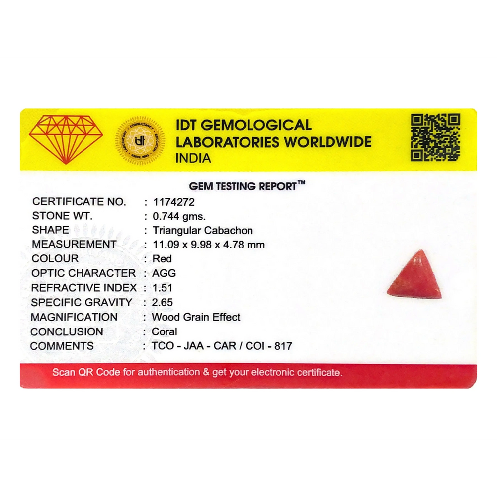 Red Coral - 3.72 Carat - Pramogh