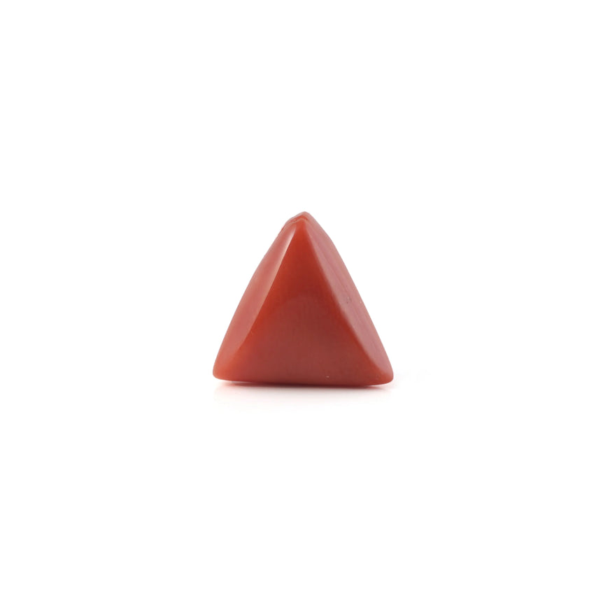 Red Coral - 3.64 Carat - Pramogh