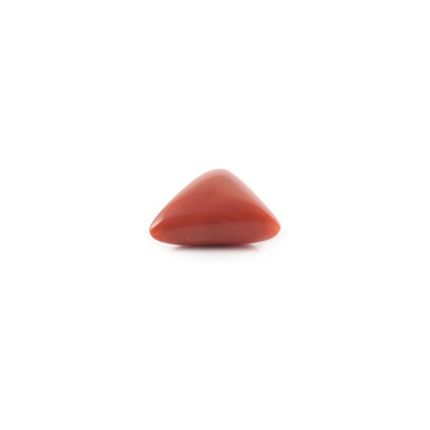 Red Coral - 3.64 Carat - Pramogh