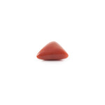 Red Coral - 3.64 Carat - Pramogh