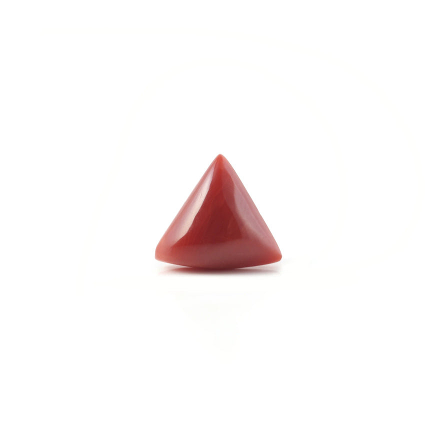 Red Coral - 4.85 Carat - Pramogh