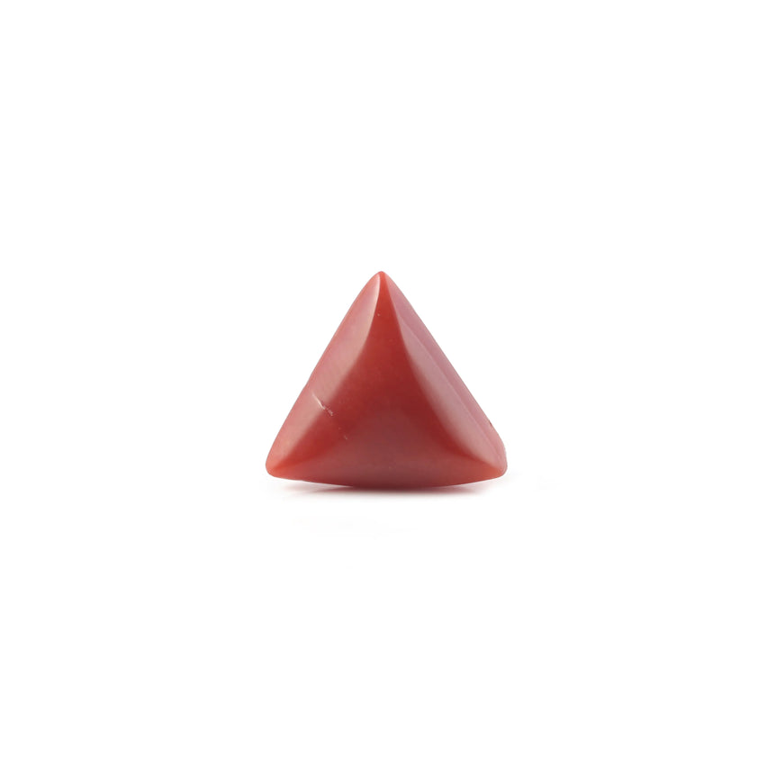 Red Coral - 4.85 Carat - Pramogh