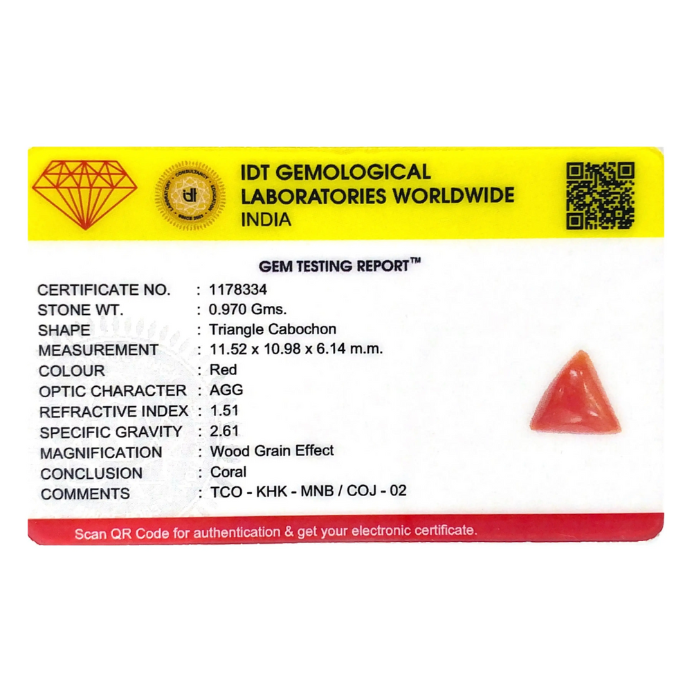 Red Coral - 4.85 Carat - Pramogh