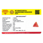 Red Coral - 4.85 Carat - Pramogh