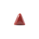 Red Coral - 4.8 Carat - Pramogh