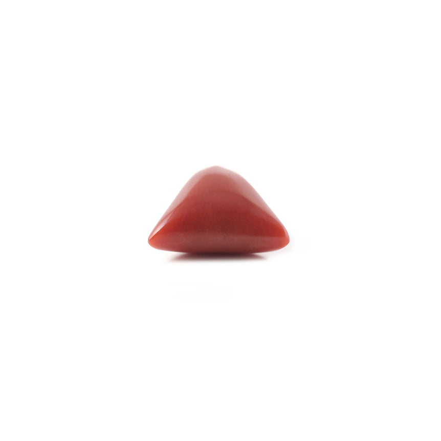 Red Coral - 4.8 Carat - Pramogh