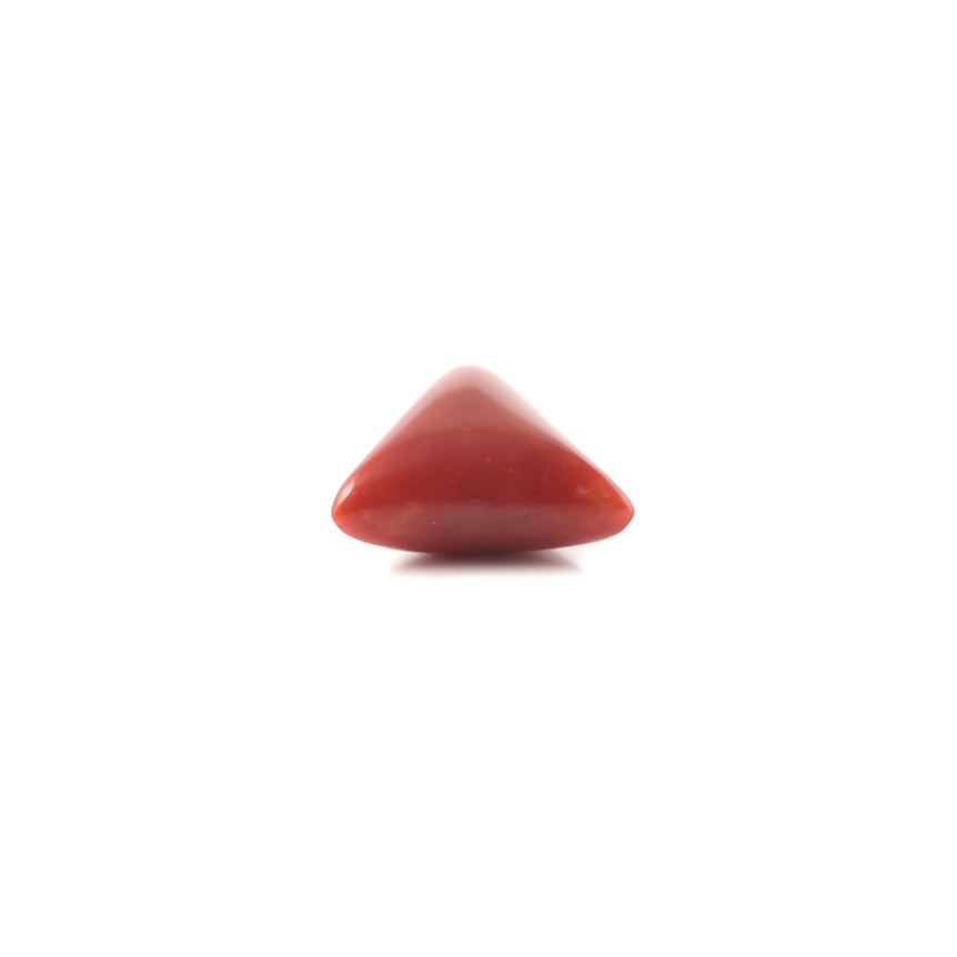 Red Coral - 4.9 Carat - Pramogh