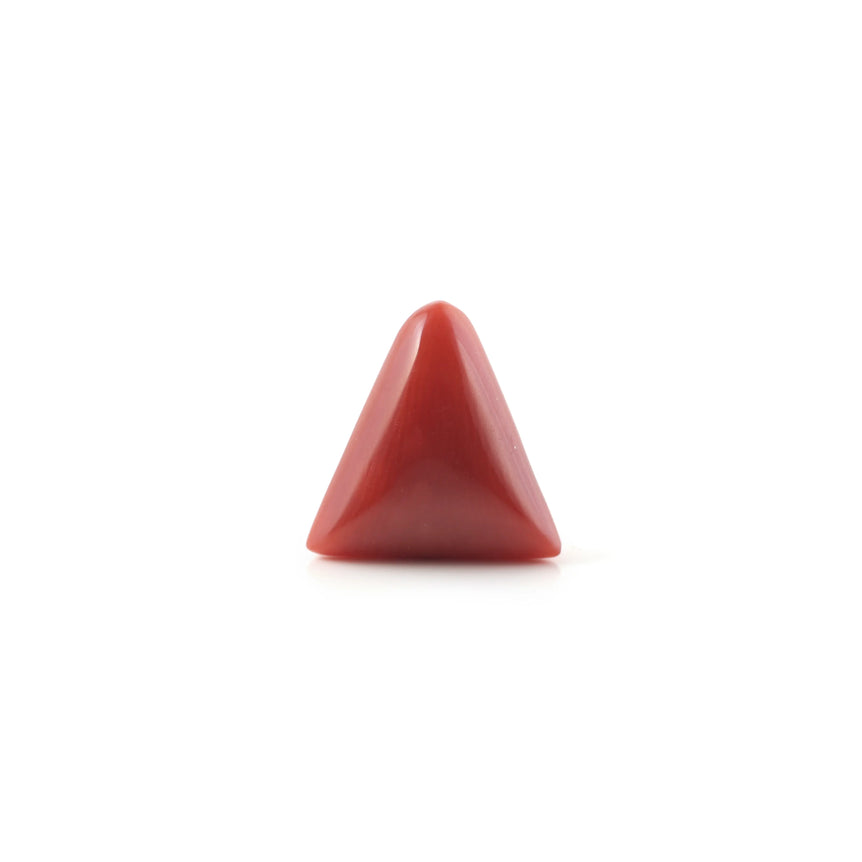 Red Coral - 4.8 Carat - Pramogh