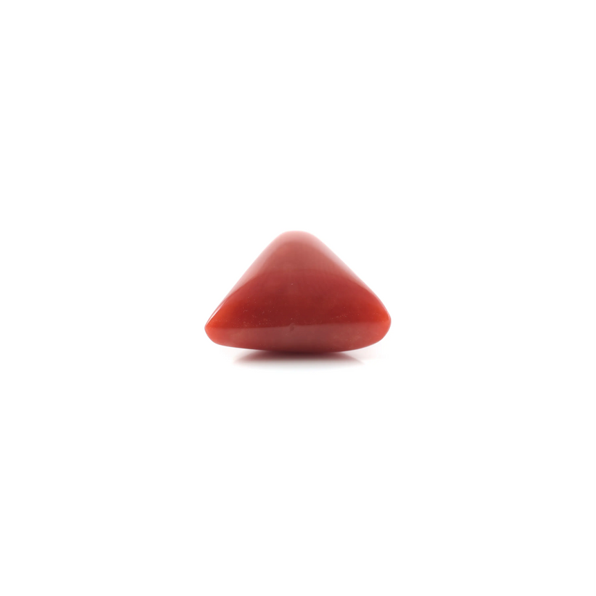 Red Coral - 4.8 Carat - Pramogh