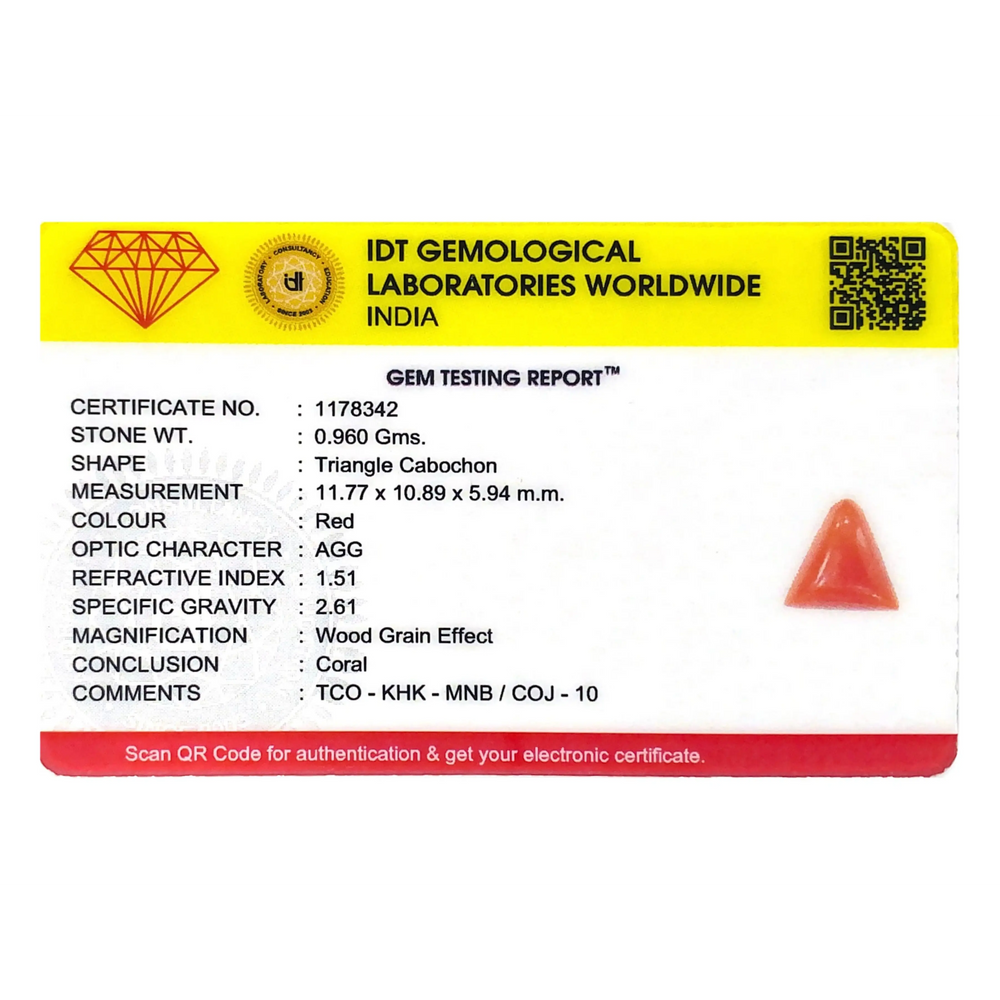 Red Coral - 4.8 Carat - Pramogh