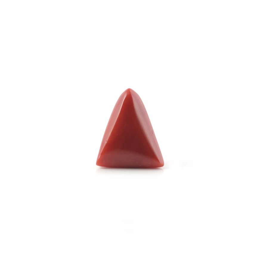 Red Coral - 4.8 Carat - Pramogh