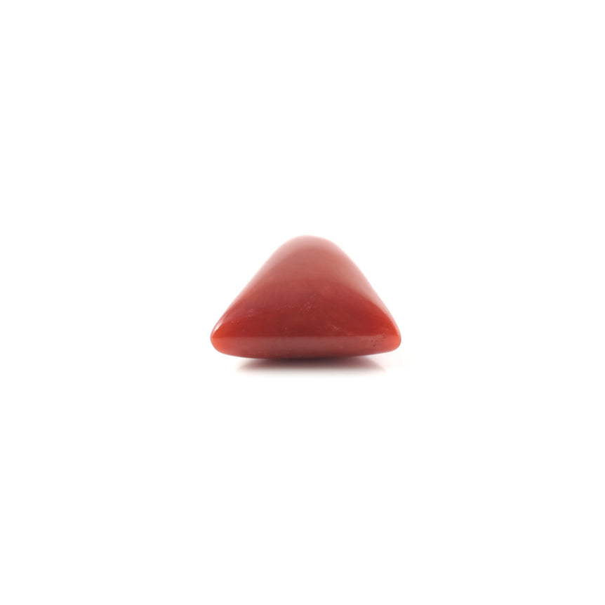 Red Coral - 4.8 Carat - Pramogh