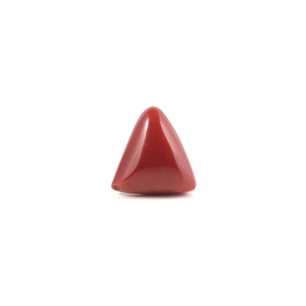 Red Coral - 5.2 Carat - Pramogh
