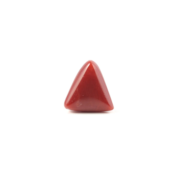 Red Coral - 5.2 Carat - Pramogh