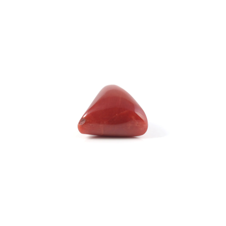 Red Coral - 5.2 Carat - Pramogh