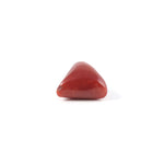 Red Coral - 5.2 Carat - Pramogh