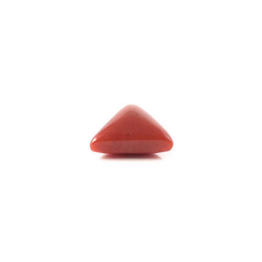 Red Coral - 3.6 Carat - Pramogh