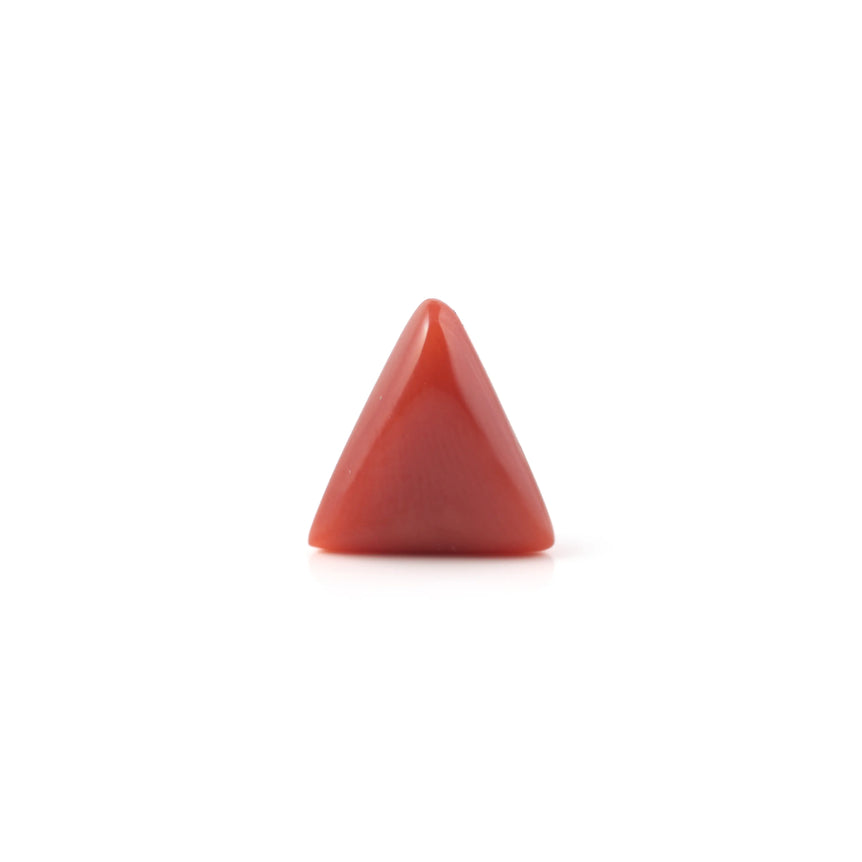 Red Coral - 3.6 Carat - Pramogh