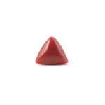 Red Coral - 3.6 Carat - Pramogh