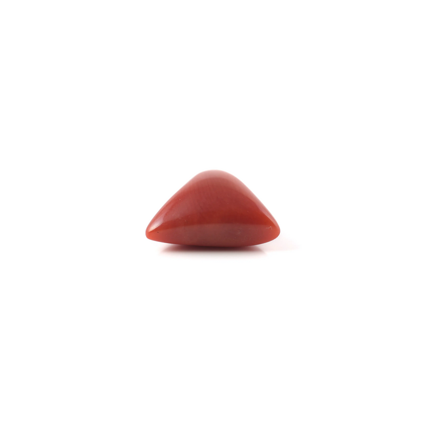 Red Coral - 3.6 Carat - Pramogh