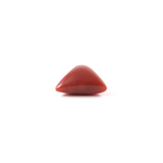 Red Coral - 3.6 Carat - Pramogh