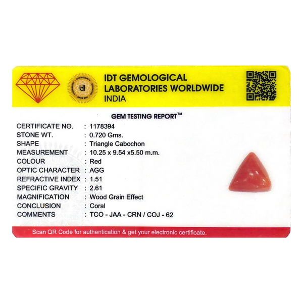 Red Coral - 3.6 Carat - Pramogh
