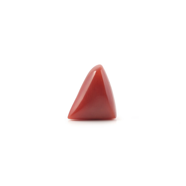 Red Coral - 3.3 Carat - Pramogh
