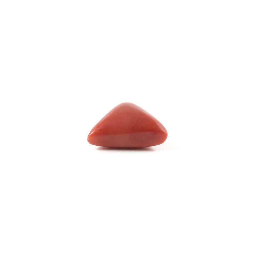 Red Coral - 8.75 Carat - Pramogh
