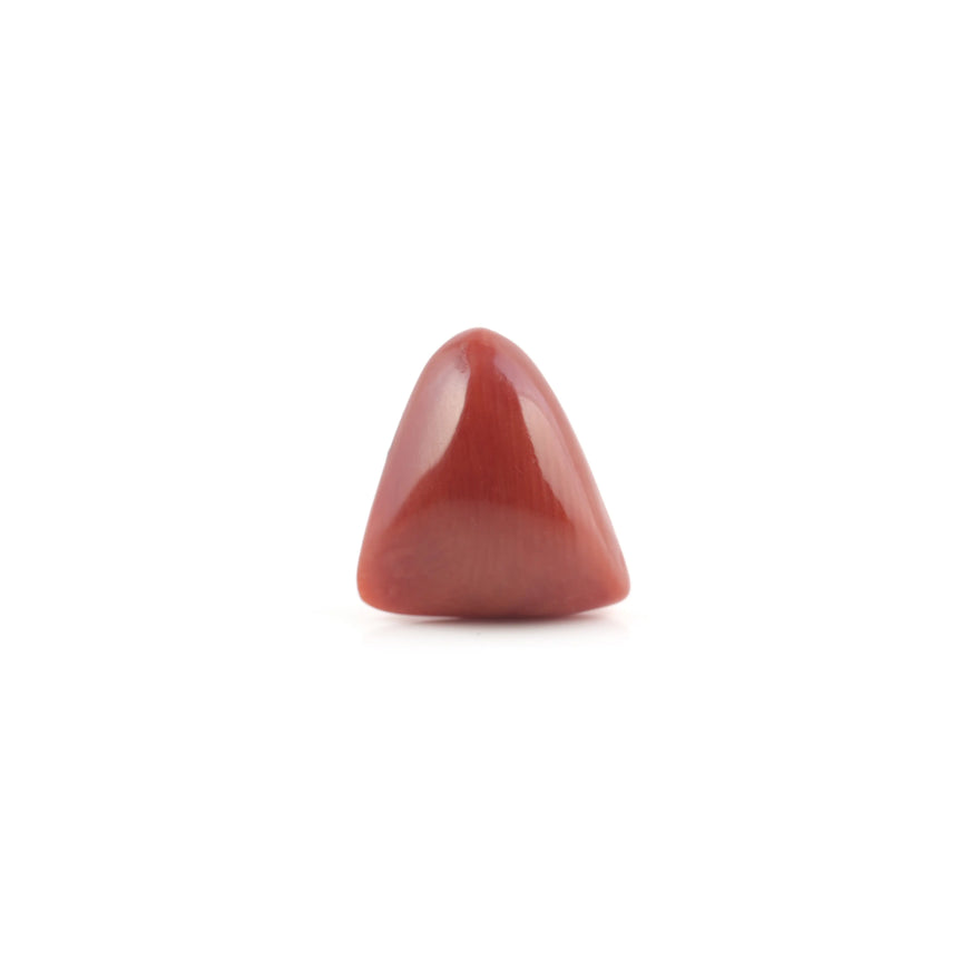 Red Coral - 4.8 Carat - Pramogh