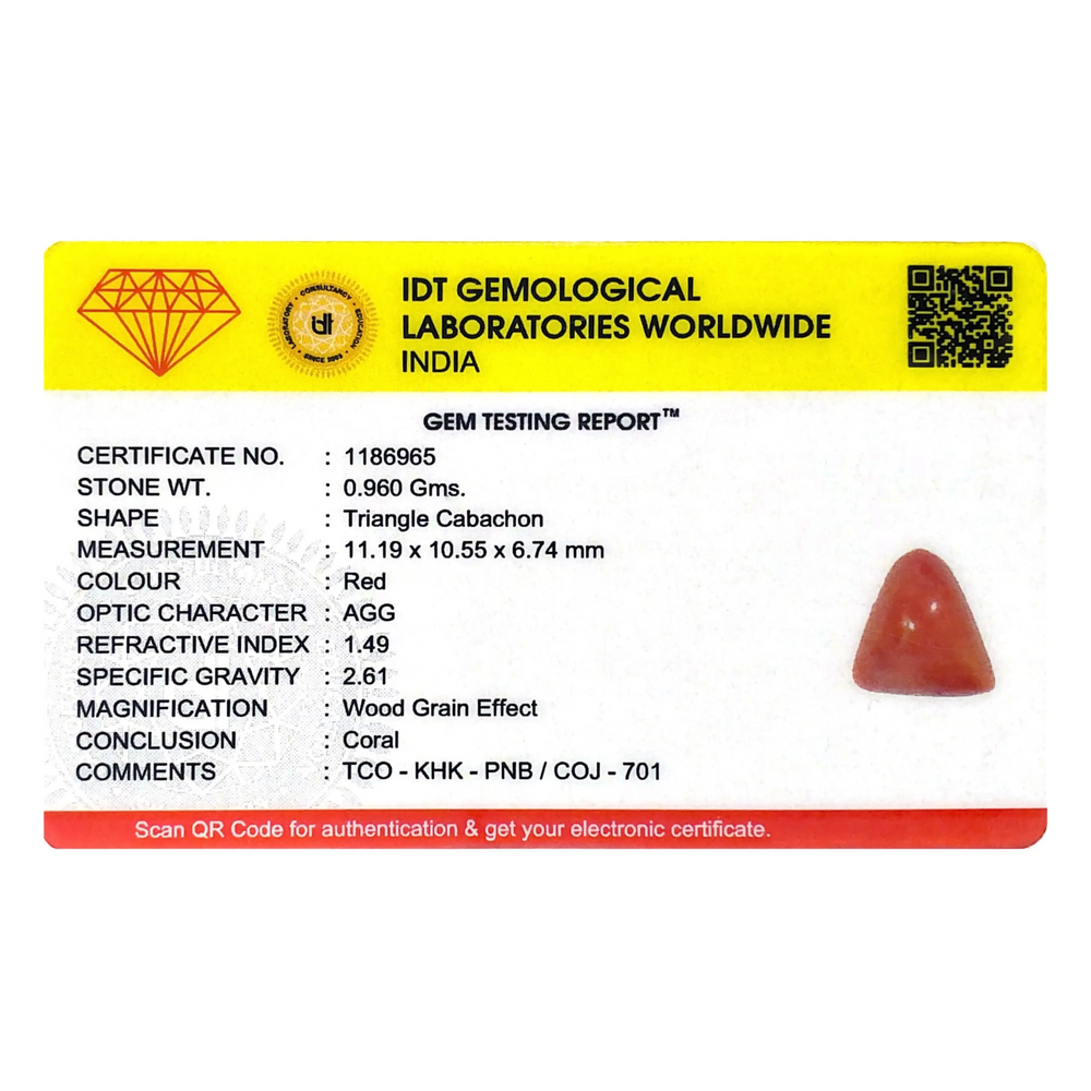 Red Coral - 4.8 Carat - Pramogh