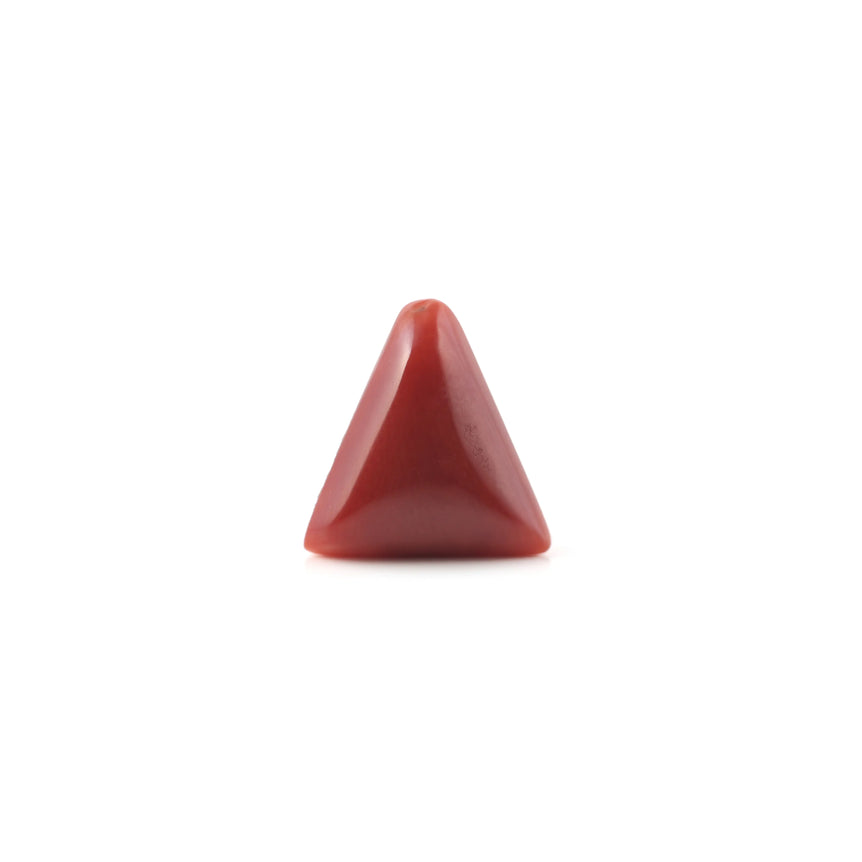 Red Coral - 4.9 Carat - Pramogh