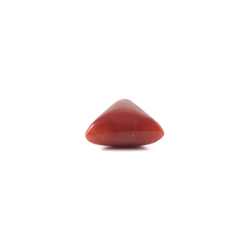 Red Coral - 4.9 Carat - Pramogh