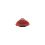 Red Coral - 4.9 Carat - Pramogh