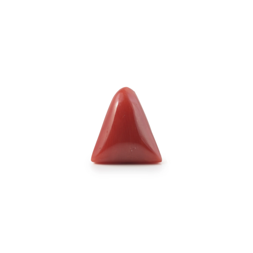 Red Coral - 4.9 Carat - Pramogh