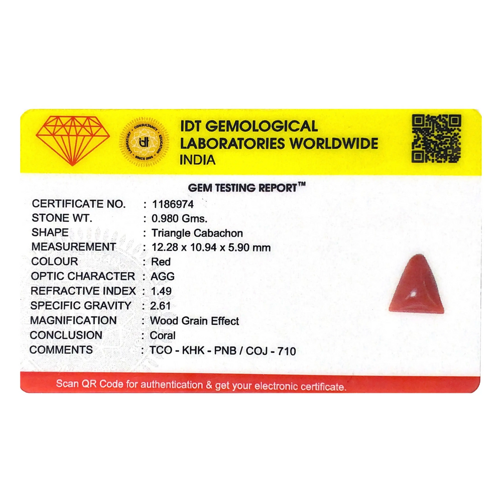 Red Coral - 4.9 Carat - Pramogh