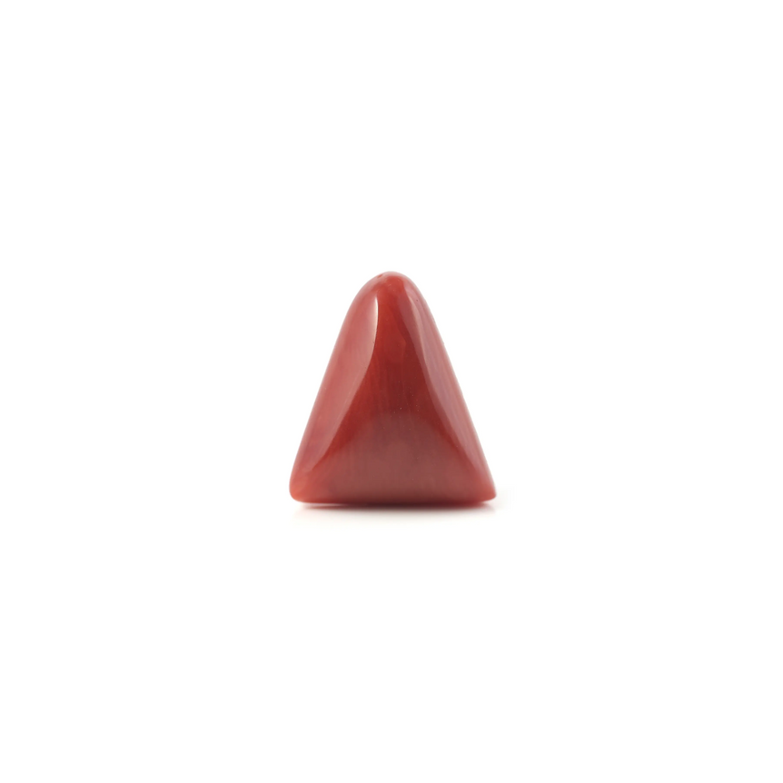 Red Coral - 4.9 Carat - Pramogh